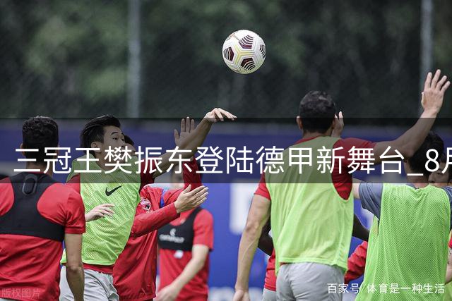三冠王樊振东登陆德甲新舞台 8月22日迎来首秀
