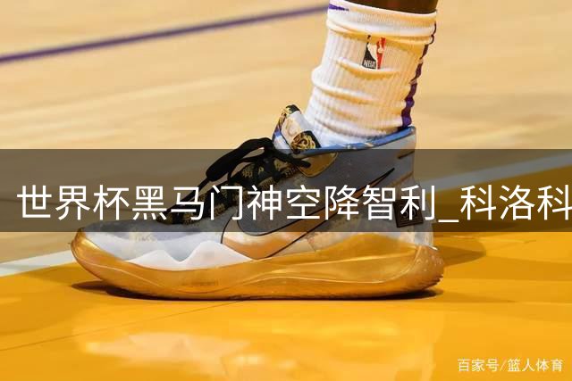世界杯黑马门神空降智利 科洛科洛迎来强援沃齐尼亚